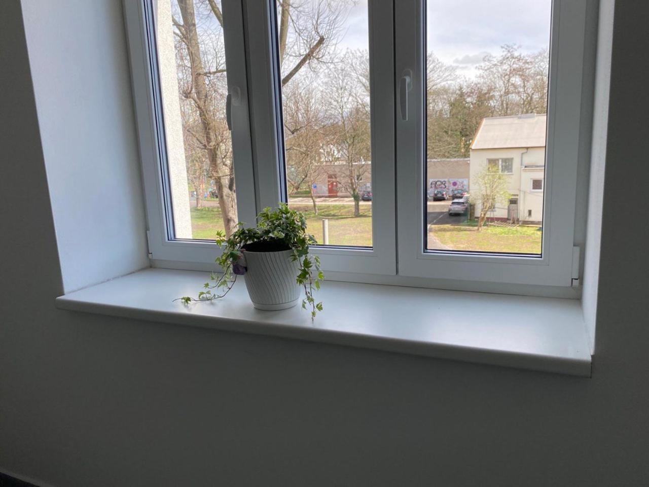 Apartmán Perla Hradce Hradec Králové Exteriér fotografie